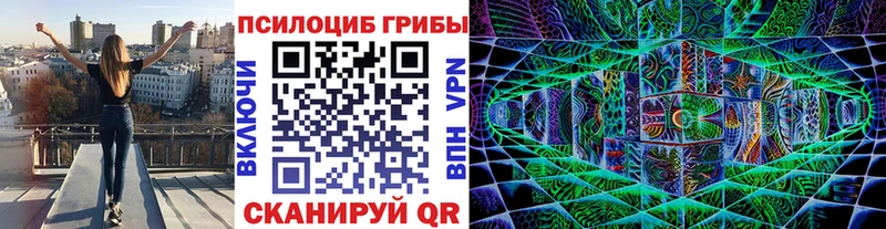 Галлюциногенные грибы Cubensis Калининград